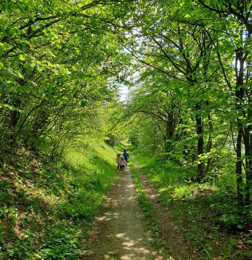 Rhoenstyle Fladungen Extérieur photo